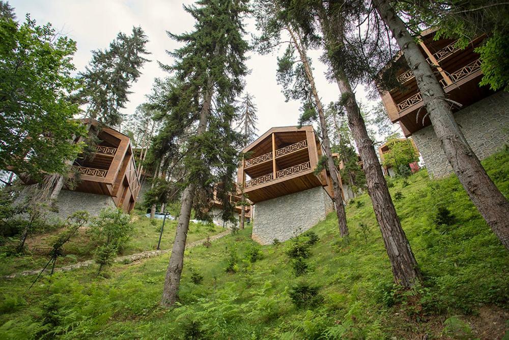Hancioglu Orman Evleri & Hotel Trabzon Eksteriør bilde